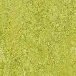 Линолеум Marmoleum Decibel on Order 322435 chartreuse фото  | FLOORDEALER